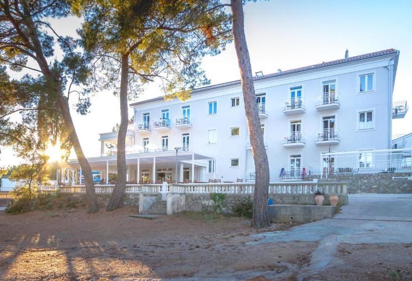 בית מלון כפרי Bor