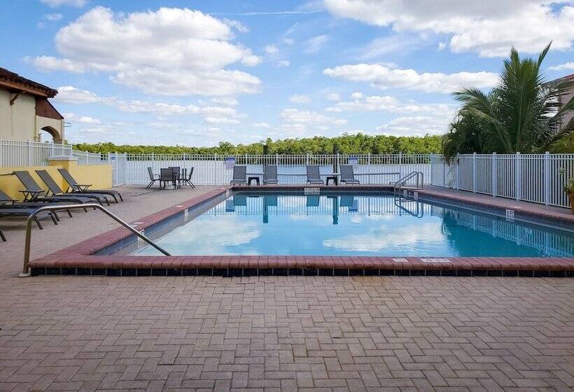 Captain S Table Hotel By Everglades Adventures