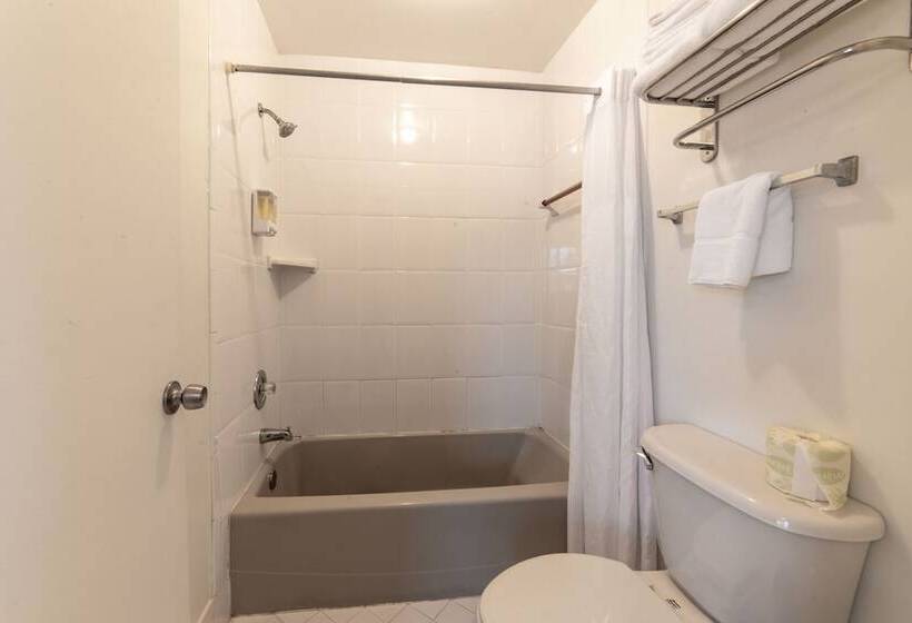 Captain S Table Hotel By Everglades Adventures