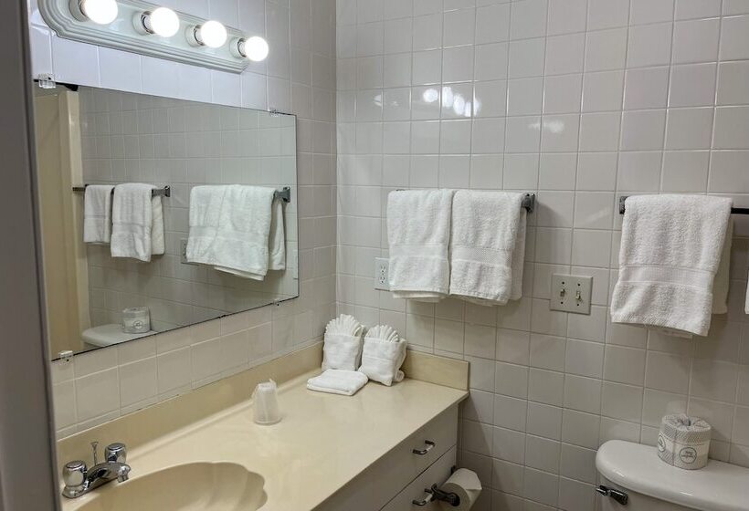 Captain S Table Hotel By Everglades Adventures