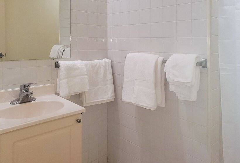 Captain S Table Hotel By Everglades Adventures