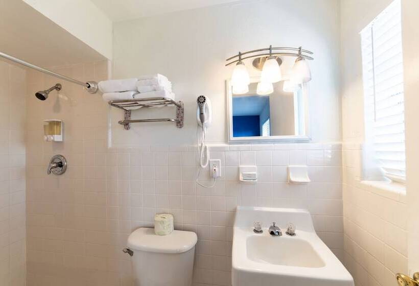 Captain S Table Hotel By Everglades Adventures