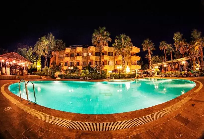 فندق Panorama Plaza