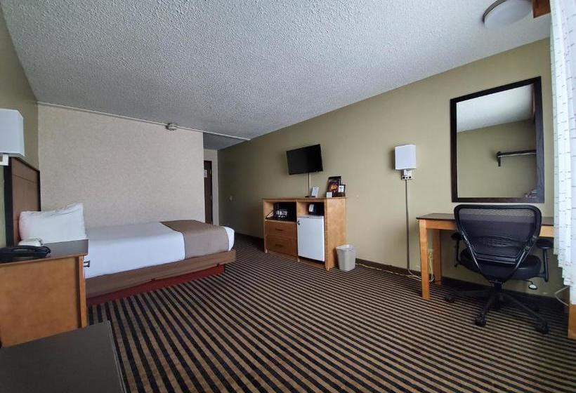 هتل The Steamboat