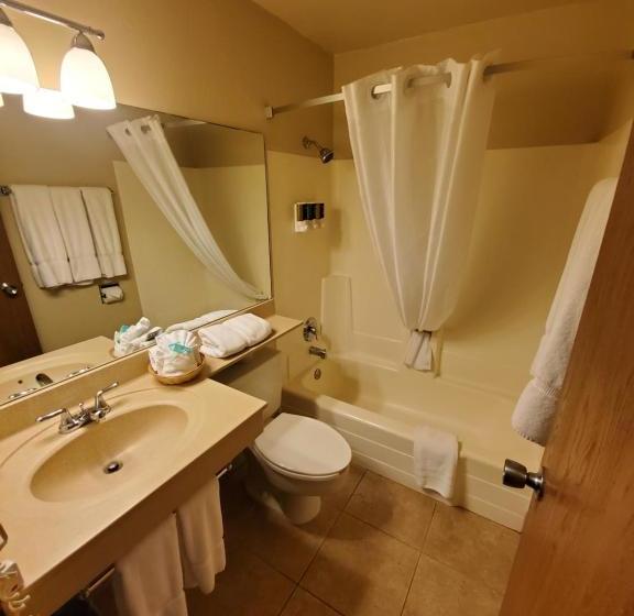 هتل The Steamboat