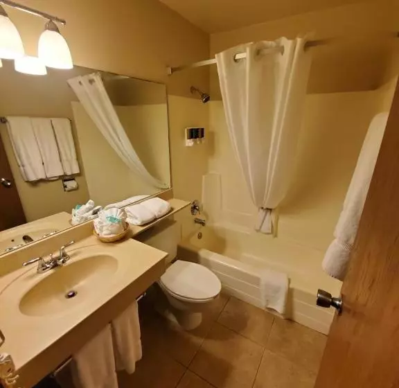 בית מלון כפרי The Steamboat