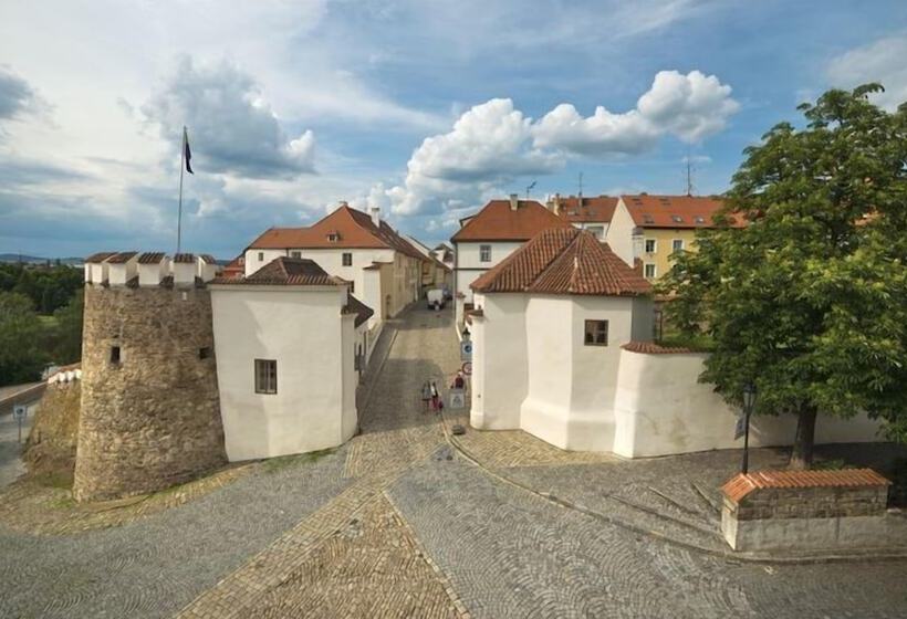 호텔 U Zlateho Byka