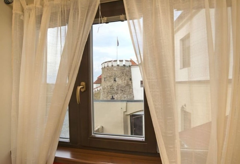 호텔 U Zlateho Byka