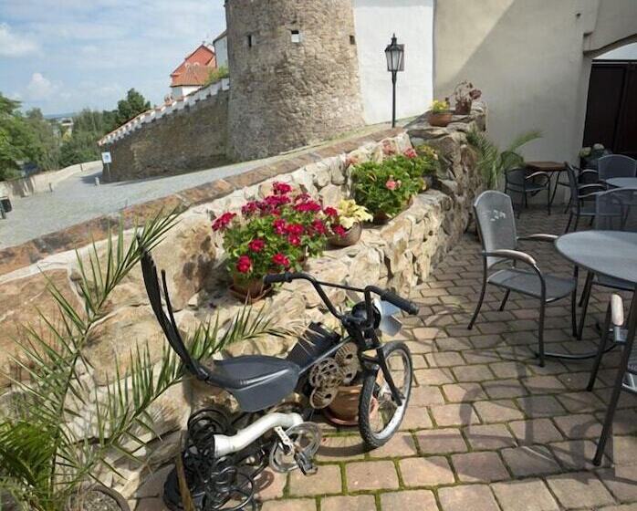 호텔 U Zlateho Byka