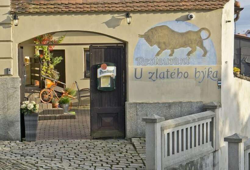 호텔 U Zlateho Byka