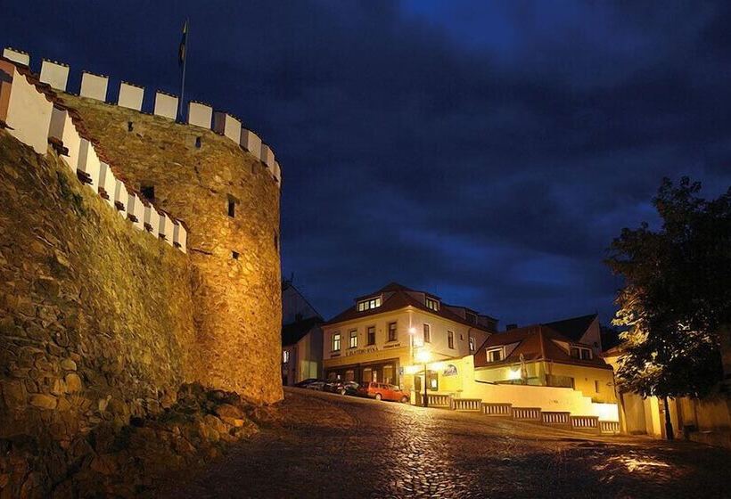 호텔 U Zlateho Byka