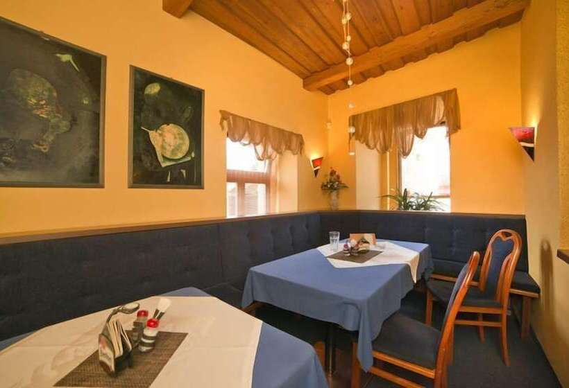 호텔 U Zlateho Byka