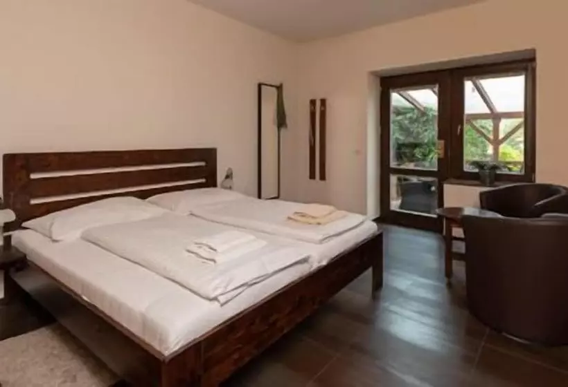 酒店 U Zlateho Byka