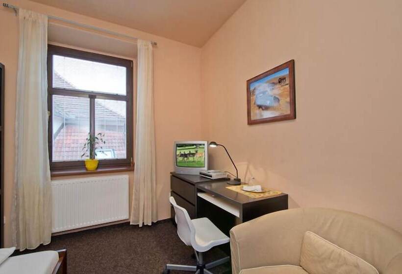 호텔 U Zlateho Byka