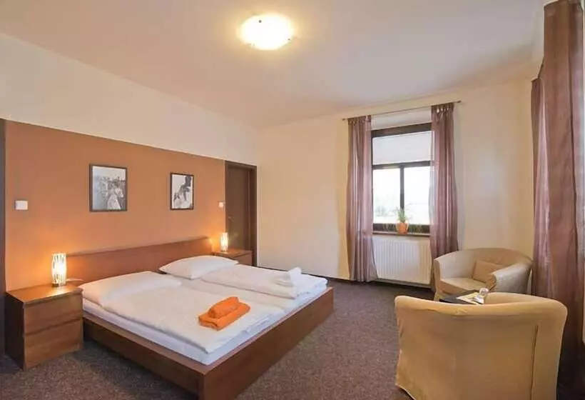 酒店 U Zlateho Byka