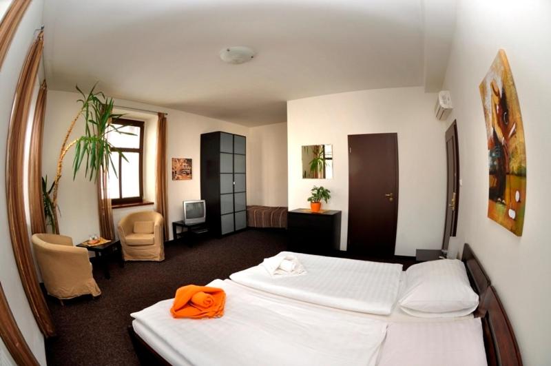 호텔 U Zlateho Byka