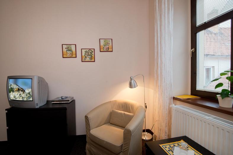 호텔 U Zlateho Byka