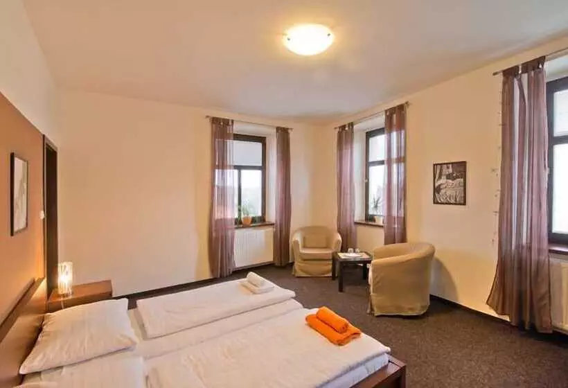 酒店 U Zlateho Byka