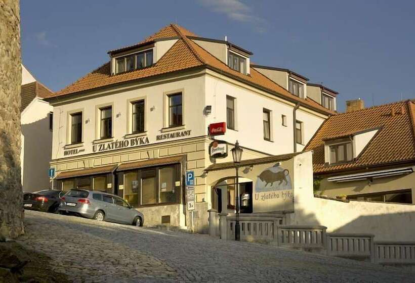 호텔 U Zlateho Byka