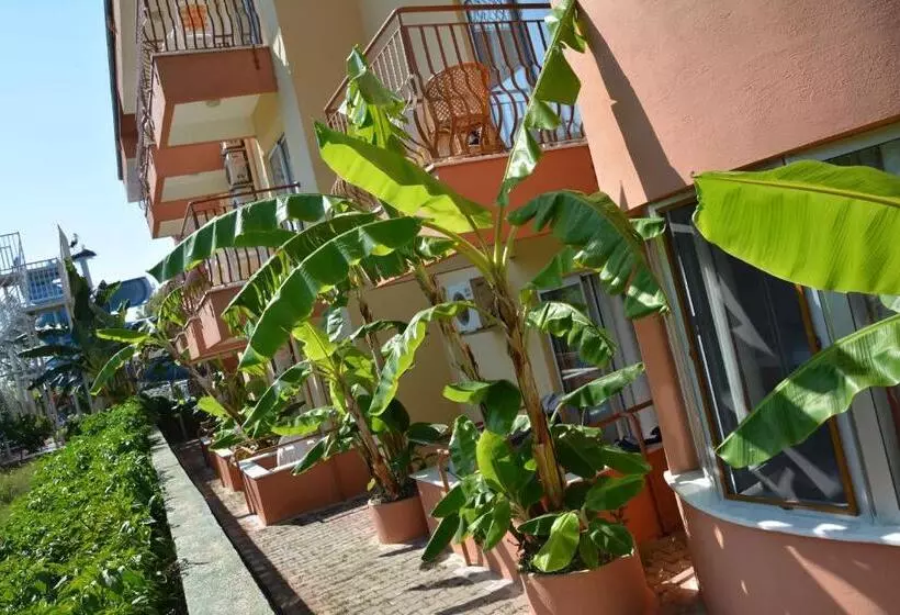 בית מלון כפרי Yavuzhan