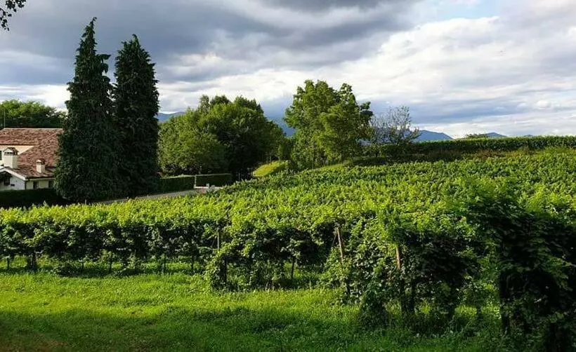 ホテル Agriturismo L Eremo