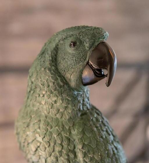 בית מלון כפרי La Grenouille   Suite De Luxe & Welness Privatif