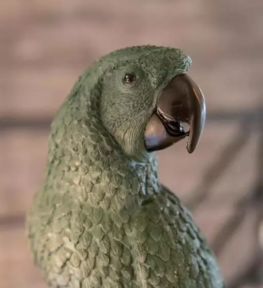 Hotelli La Grenouille   Suite De Luxe & Welness Privatif