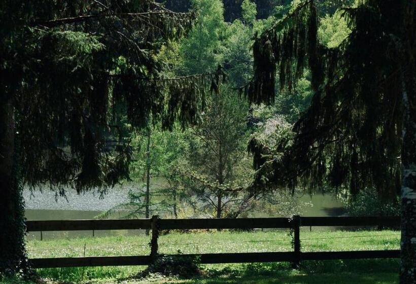 膳宿费 Manoir De Chantemerle