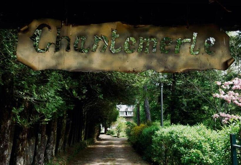 膳宿费 Manoir De Chantemerle