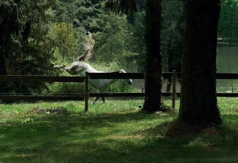 Majatalo Manoir De Chantemerle