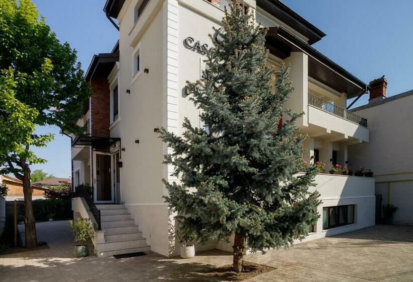 Pensiunea Casa Sturza