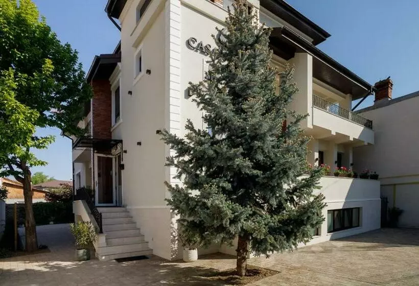 Pensiunea Casa Sturza