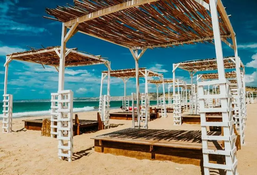 All Ocean Suites
