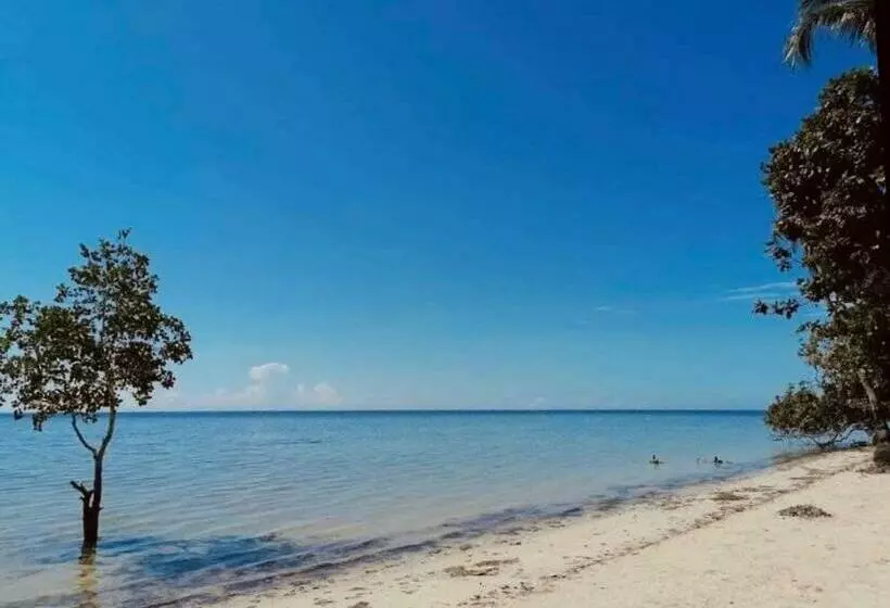 تختخواب و صبحانه Summer Days