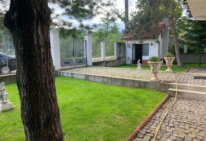 ペンション Casa Romana