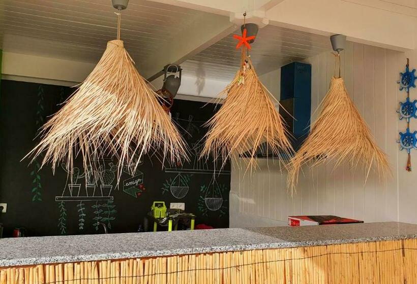 膳宿费 Art Riad Mazighen