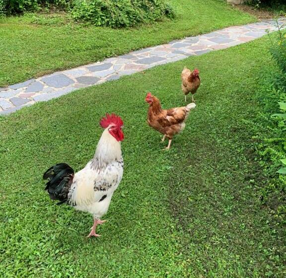 بنسيون La Grignotière Lodge & Spa