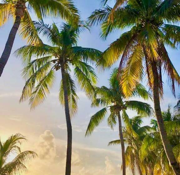 فندق Vc Beach Suites