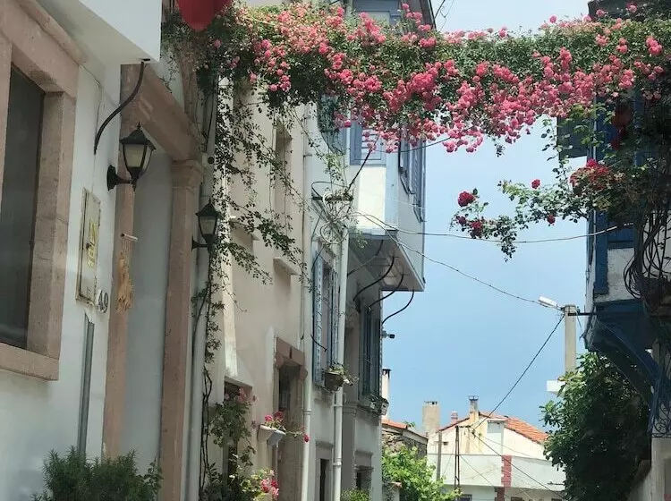 تختخواب و صبحانه Nil House Ayvalık 1