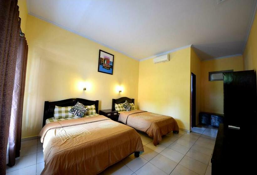 بنسيون Celebbest