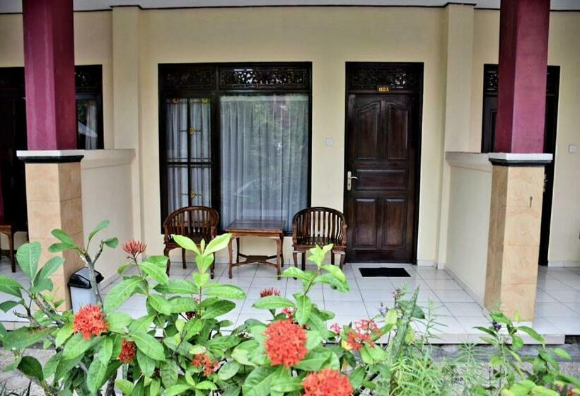 بنسيون Celebbest