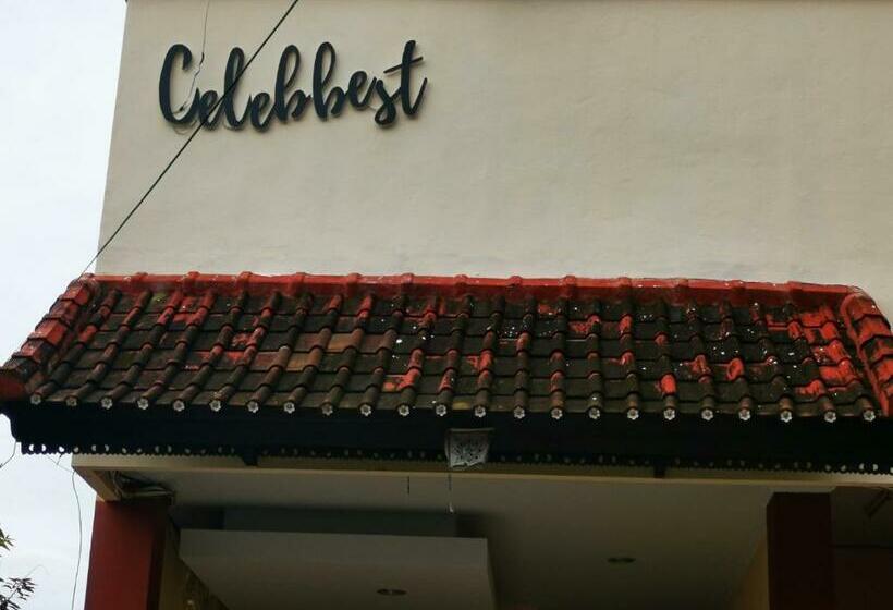 بنسيون Celebbest