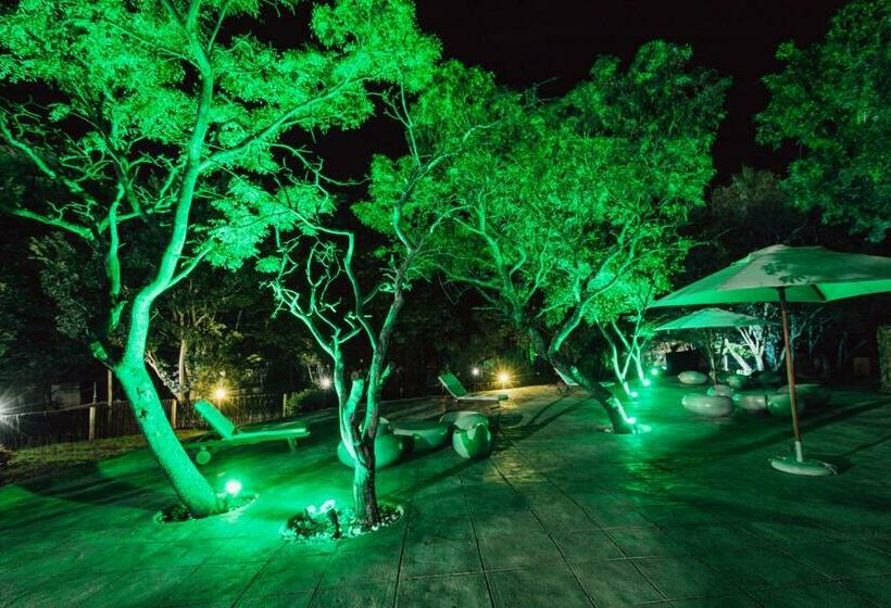 منتجع Pecan Bush Lodge