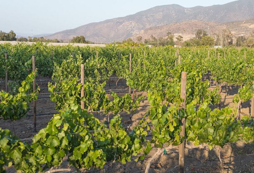 ベッドアンドブレックファースト Casa Entrevez