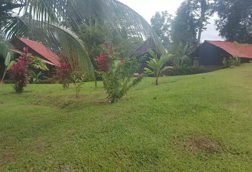 ユースホステル Cabañitas Rio Celeste