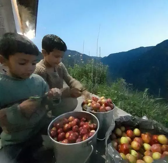 ホテル Wfh Treesouls Farmstay Bahu