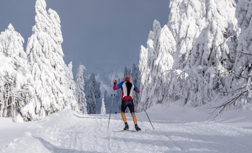 Apartmány Volf   Boží Dar