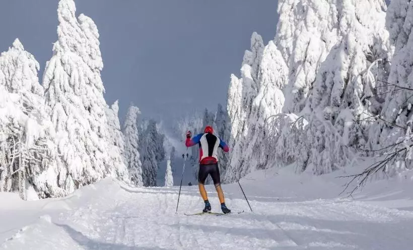 Apartmány Volf   Boží Dar