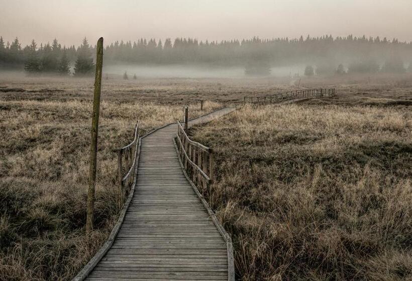 Apartmány Volf   Boží Dar