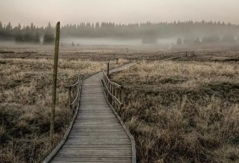 Apartmány Volf   Boží Dar